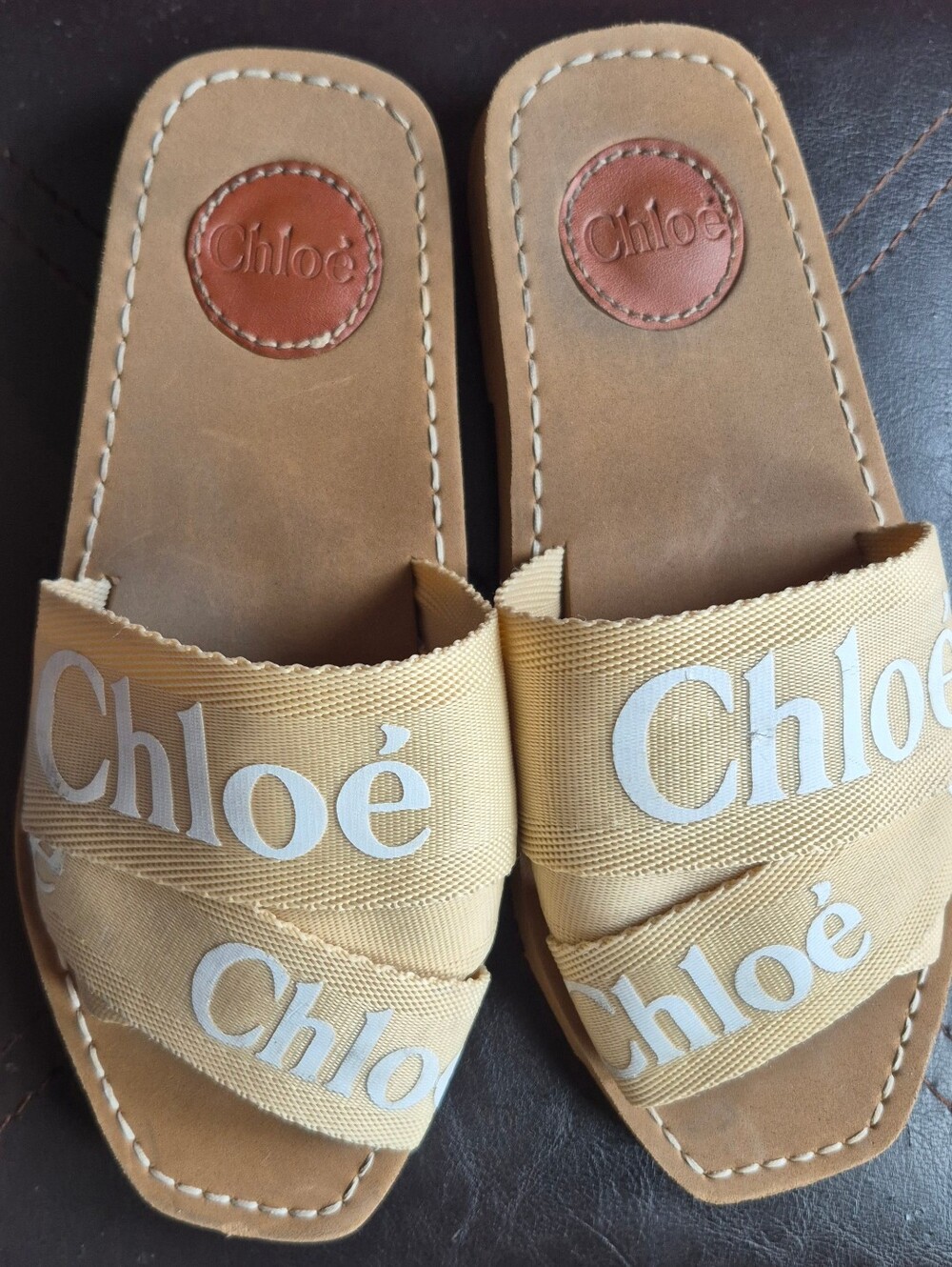 ChloeChloé Woody logo canvas slides 37